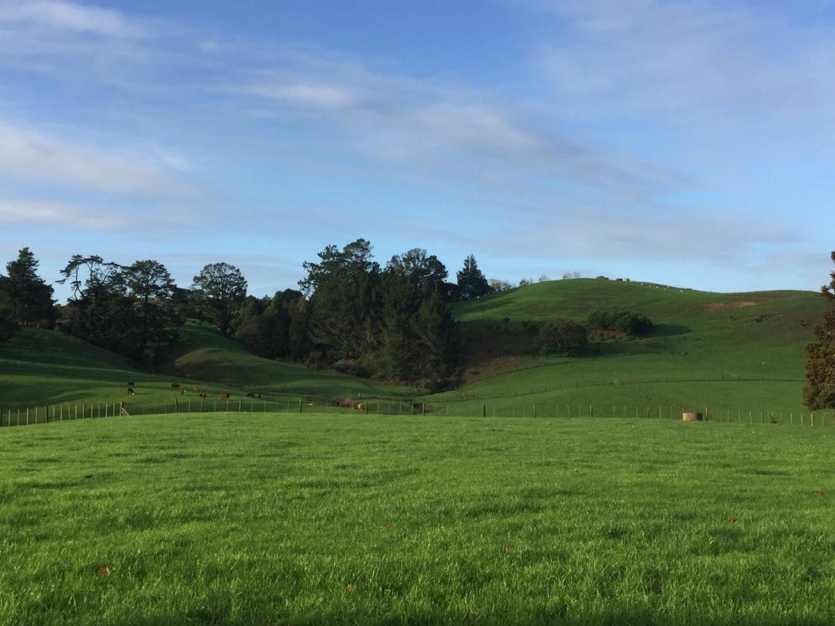 Veld View Bed And Breakfast Tuakau Екстериор снимка