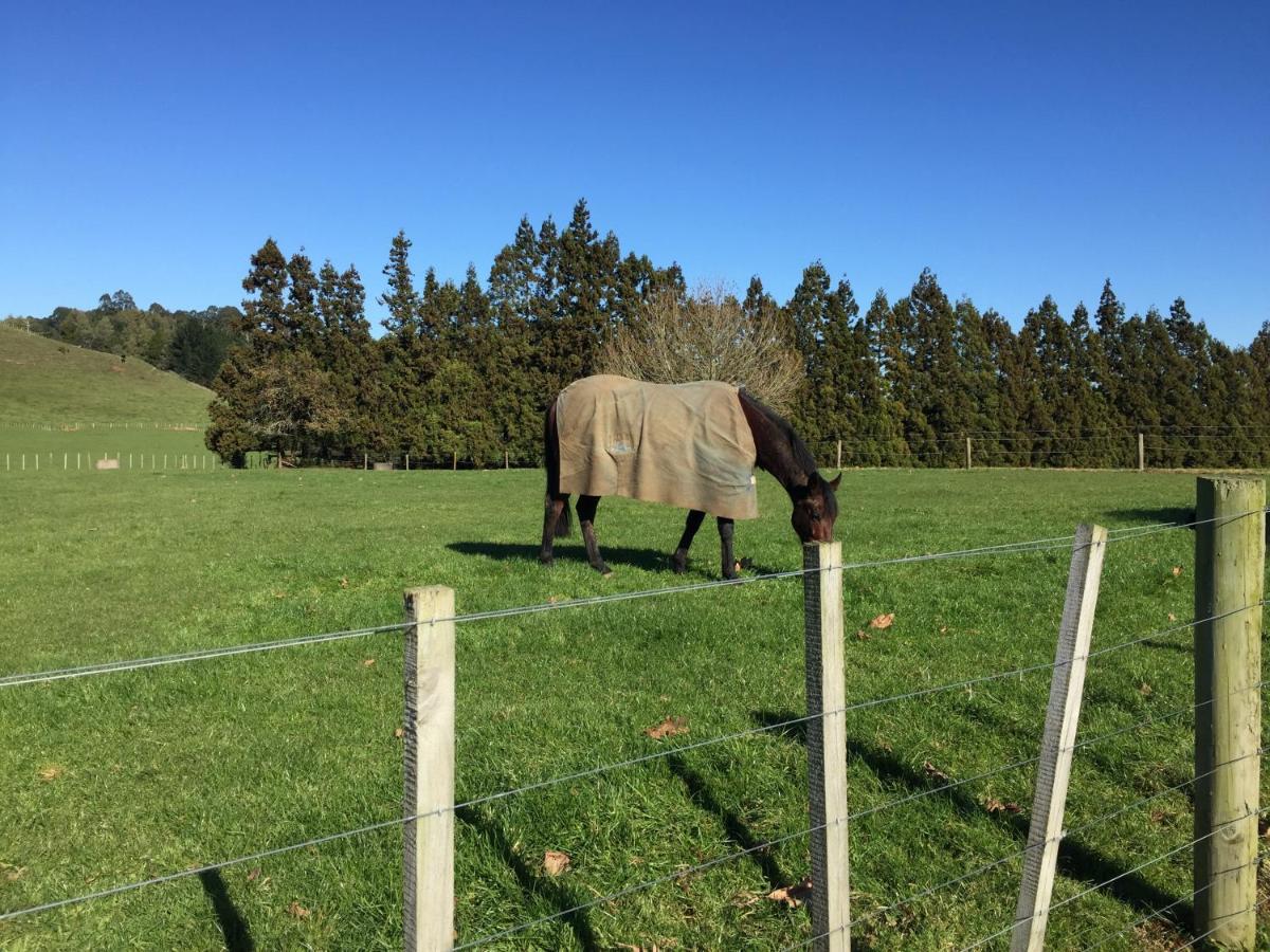 Veld View Bed And Breakfast Tuakau Екстериор снимка