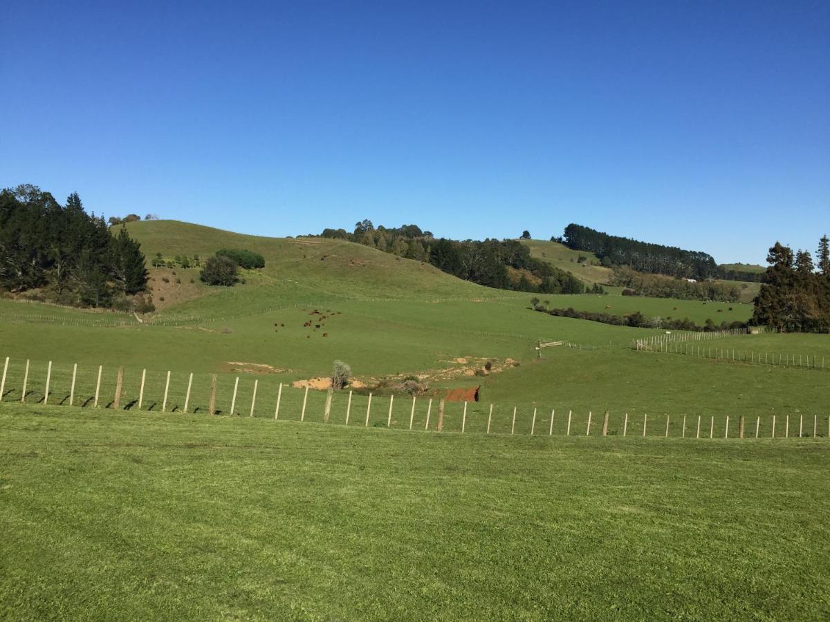 Veld View Bed And Breakfast Tuakau Екстериор снимка