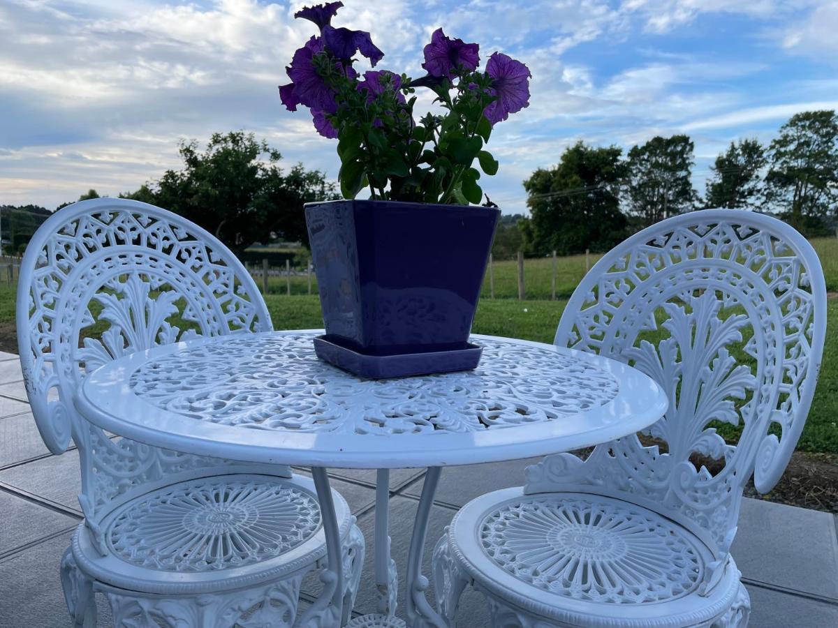 Veld View Bed And Breakfast Tuakau Екстериор снимка