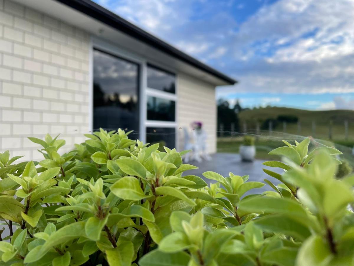 Veld View Bed And Breakfast Tuakau Екстериор снимка