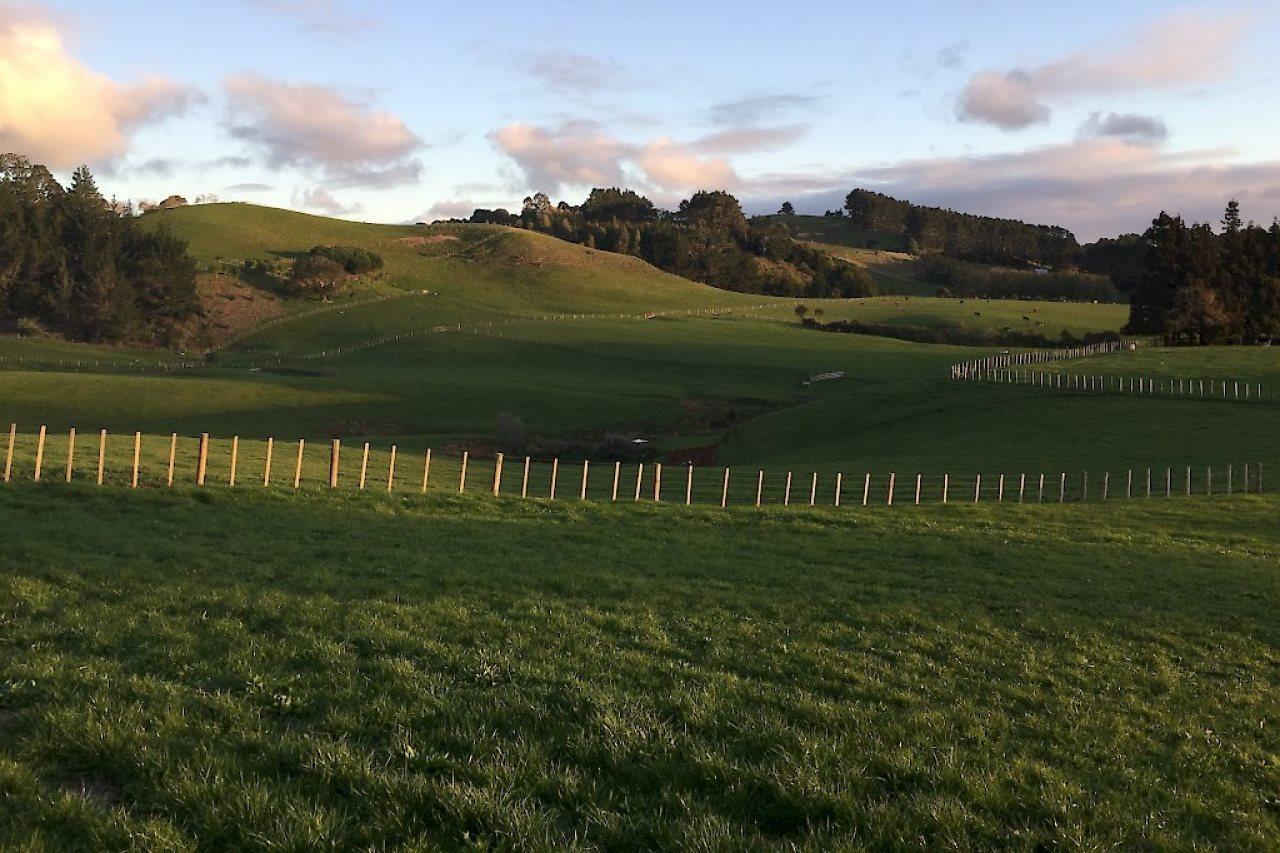 Veld View Bed And Breakfast Tuakau Екстериор снимка